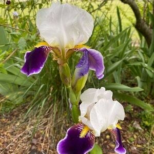 Meet your Posher, Joanne